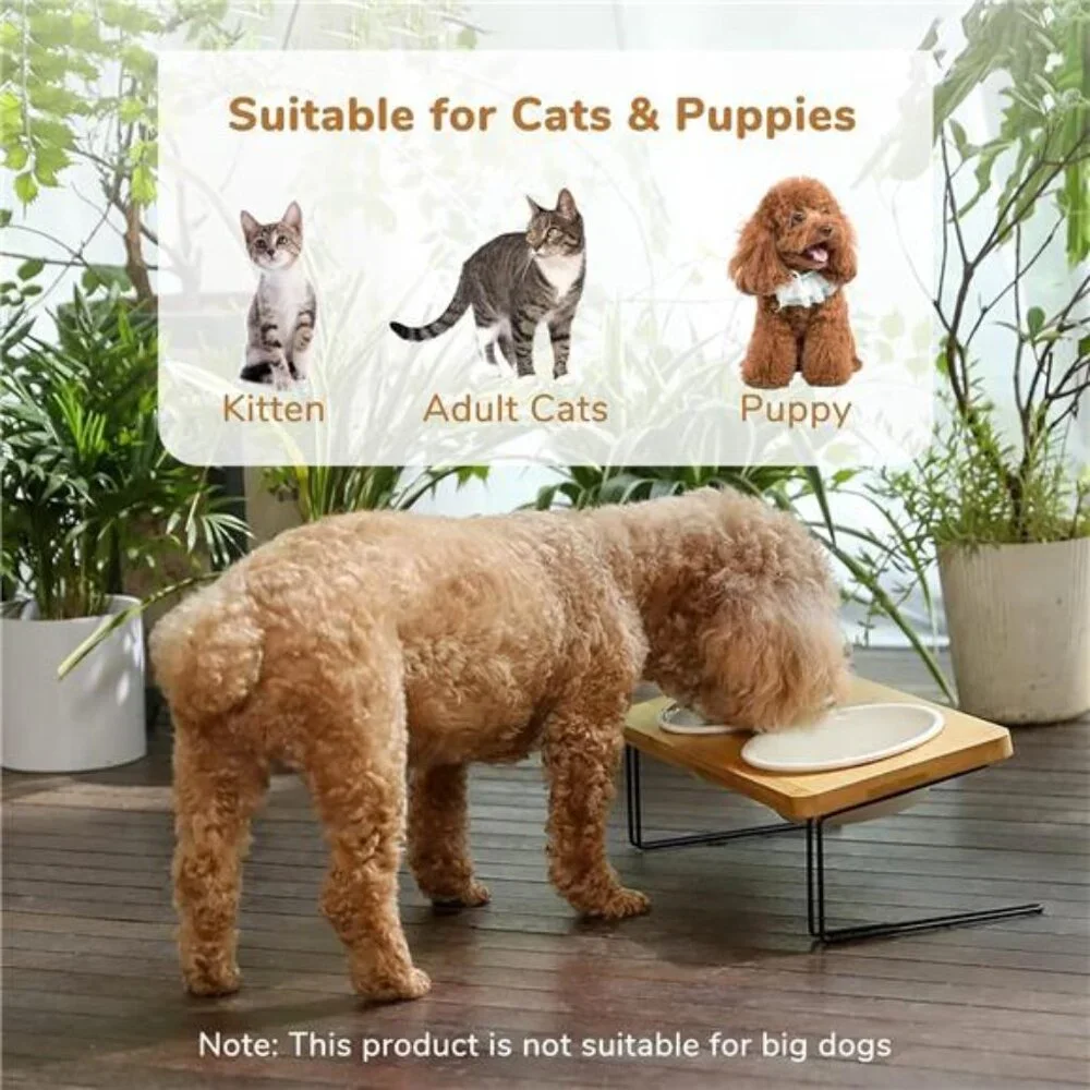 Elevated Cat Ceramic Bowls, Small Dog 15° Tilted Raised Food Feeding Dishes,
